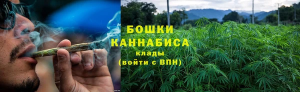 прущие грибы Вязники